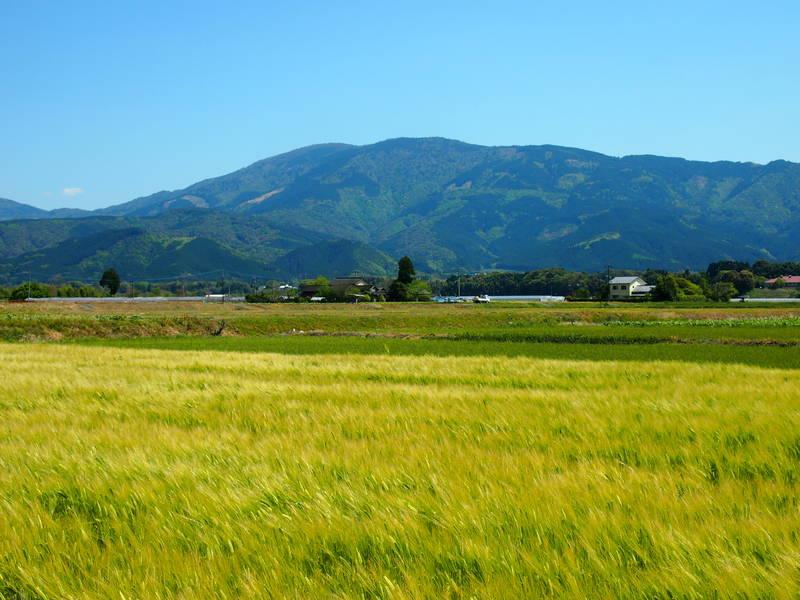 Shōman